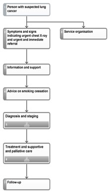 Lung Cancer care flowchart