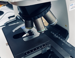 microscope microscope