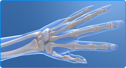 Bristol Bones & Joints - Clinicians