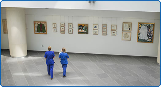 Fresh Arts Exhibitions Fresh Arts Exhibitions