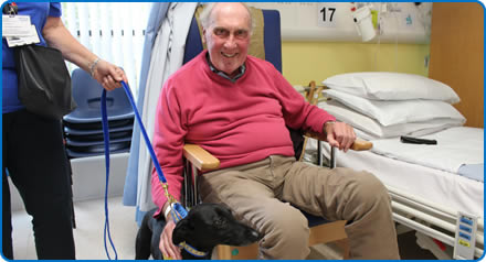 Laurence Payne with Flash the therapy dog Laurence Payne with Flash the therapy dog