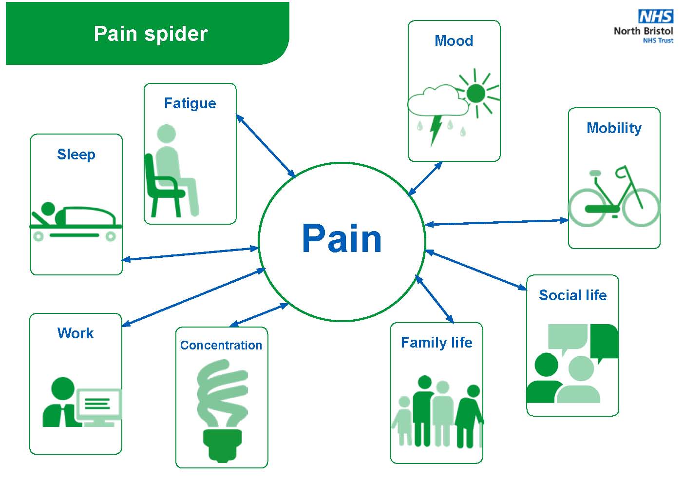 Pain spider