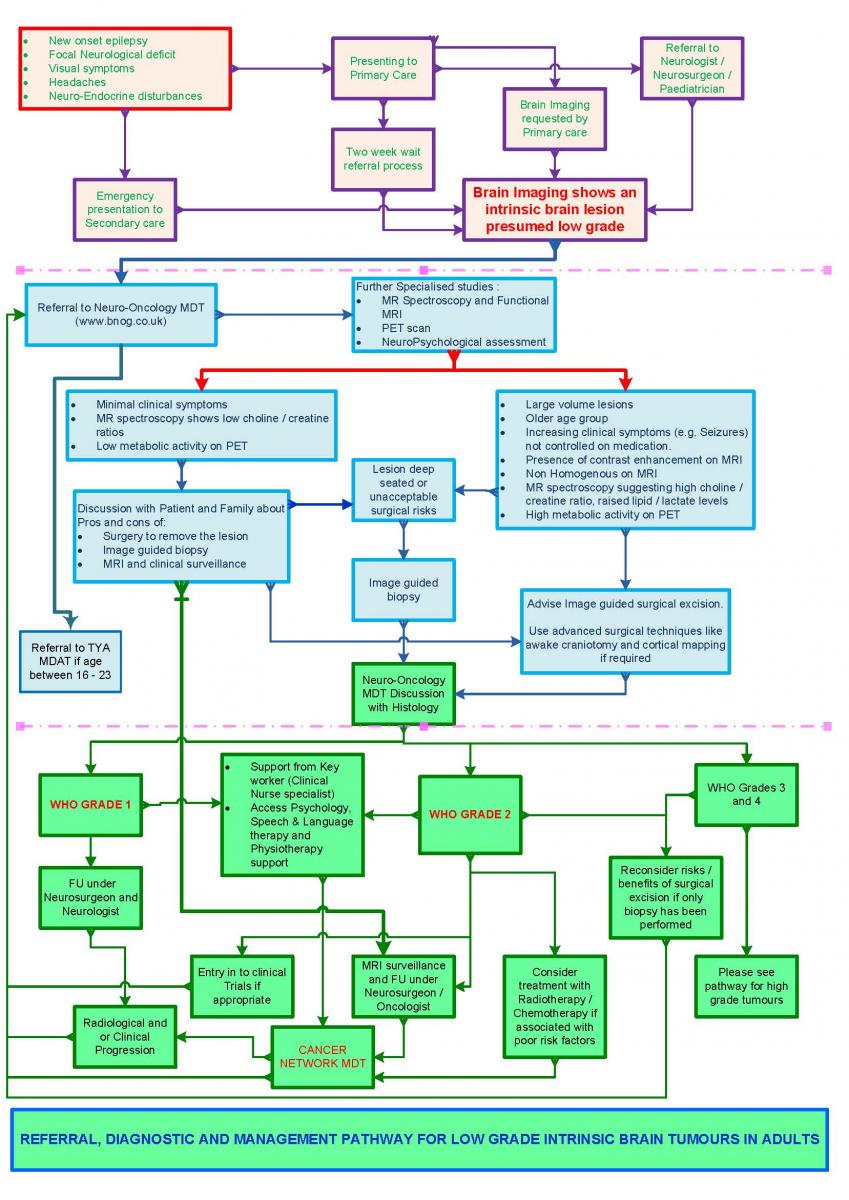 Low grade glioma pathway