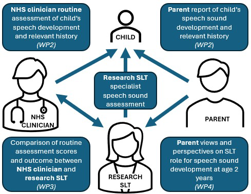 BSLT Prosper process graphic