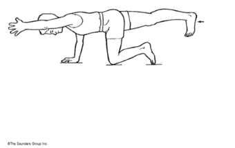 Person kneeling on floor with one arm and opposite leg outstretched