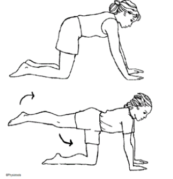 Person on knees on the floor resting forward on hands with one leg raised behind them