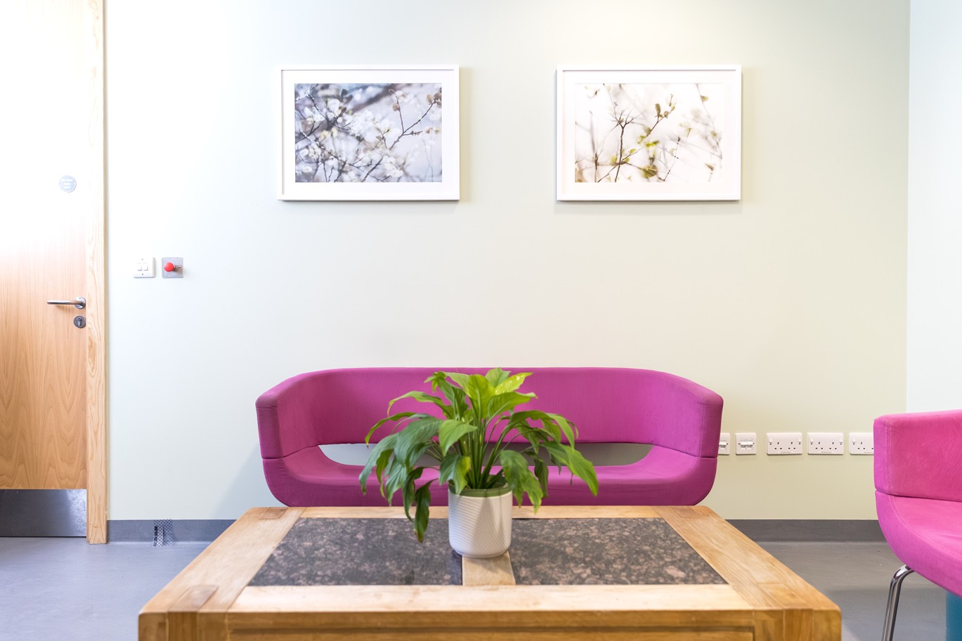 A pink sofa. A pink sofa.