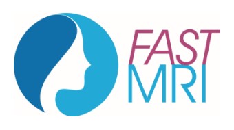 FAST MRI Logo