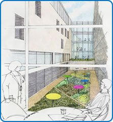 Enclosed courtyward