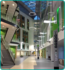 Atrium art at dusk