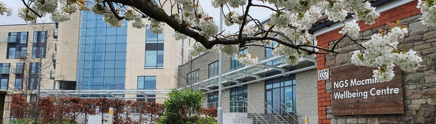 The Macmillan Wellbeing Centre and the Brunel Building 