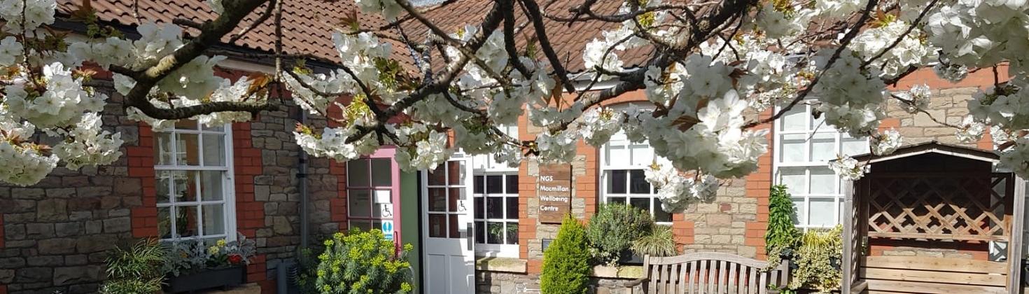 The Macmillan Wellbeing Centre with a Cherry tree in blossom outside 