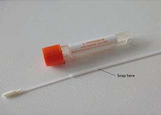 Container: Orange Liquid Transwab