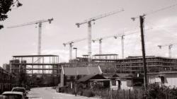 A monochrome photo shot of cranes