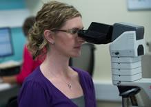 Photo of Researcher using a microscope