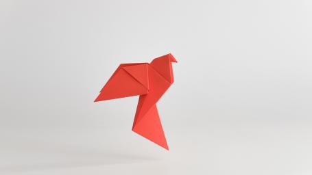 Paper_Bird