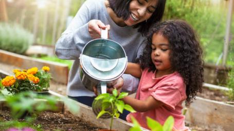 Gardening picture