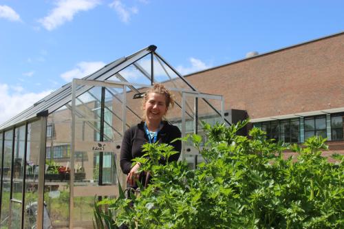 Phoebe, our Nature Recovery Ranger, in the allotment at Southmead Hospital