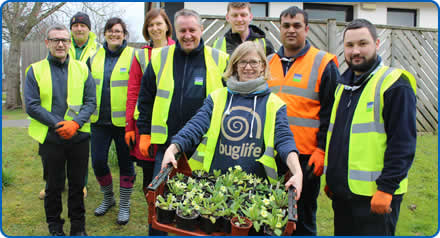 Volunteers helped plant wildflowers at Southmead Hospital as part of NHS Sustainability Day Volunteers helped plant wildflowers at Southmead Hospital as part of NHS Sustainability Day